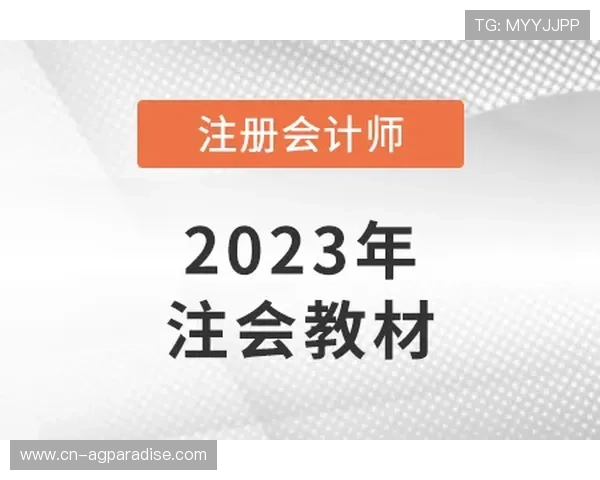 选择PA视讯直营让您的娱乐体验更加稳定可靠
