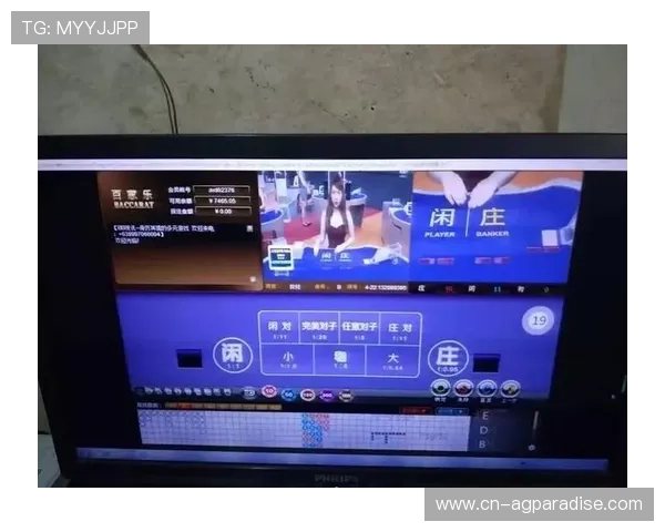 网赌百家乐法律风险详解以及合法合规参与游戏的最佳建议